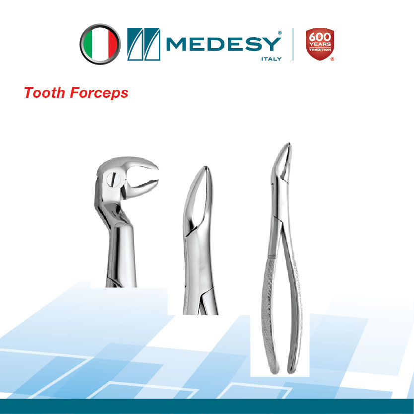 Medesy - Tooth Forceps